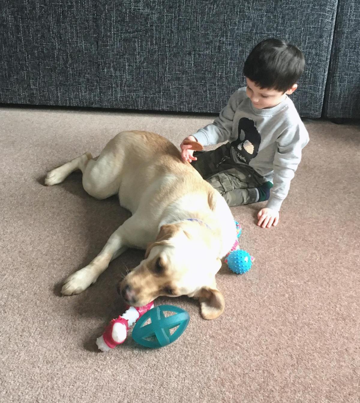 178499F6-4634-493A-8F63-54BD562CC911