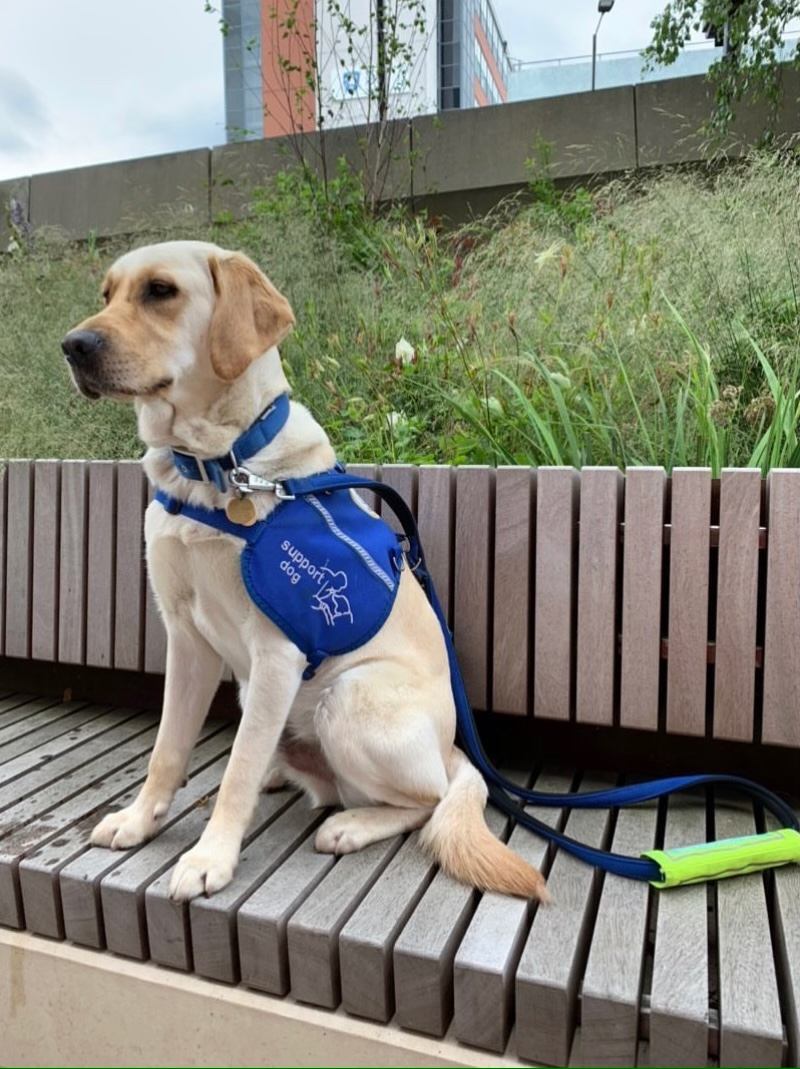 4F37441D-0FAB-4531-8280-FCBAC12FD25F